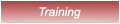 Training Regimen